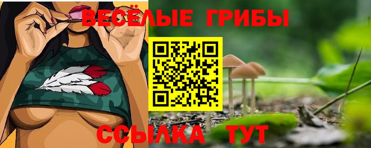 Псилоцибиновые грибы мухоморы Ахтубинск